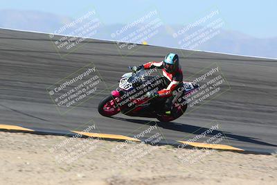 media/Jan-14-2024-SoCal Trackdays (Sun) [[2e55ec21a6]]/Bowl (11am)/